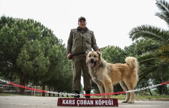 TSK'nın "keskin burun"ları hain tuzakları bozmak için yetiştiriliyor